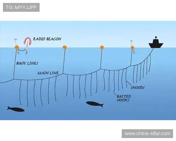 K8捕鱼技巧全面指南教你如何在游戏中精准捕捉稀有鱼种提升捕鱼技巧的实用经验分享